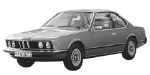 BMW E24 B251E Fault Code